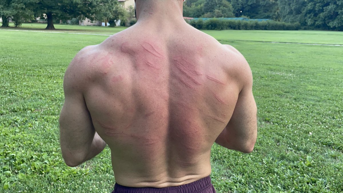 SirEdward87's tweet photo. #impactplay #frusta #forcedworkout
If the slave does not do exactly as ordered, this must be pointed out to him. https://t.co/Hf4C5YaAmw