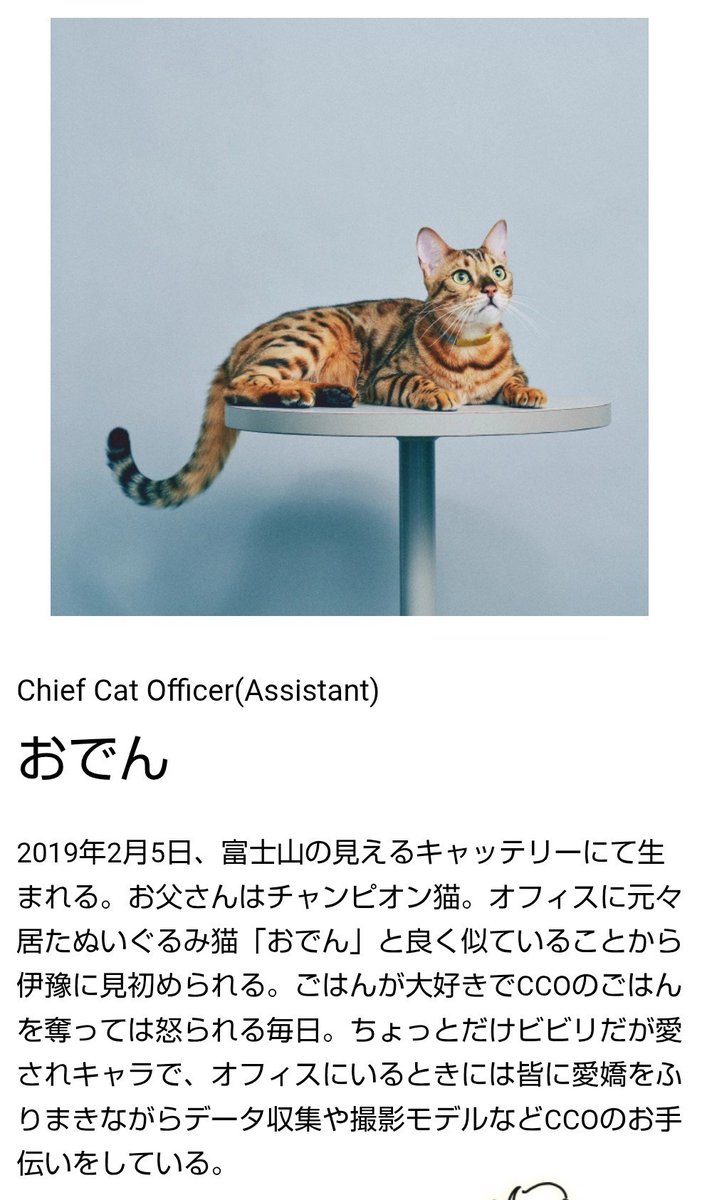 kemujiotk's tweet photo. 今話題のCatlogの会社、見た目からして猫の気持ちに寄り添えそうな社員ばかりで信頼できるんだよな

https://t.co/jhR0yp77md https://t.co/d8OVno4JbX