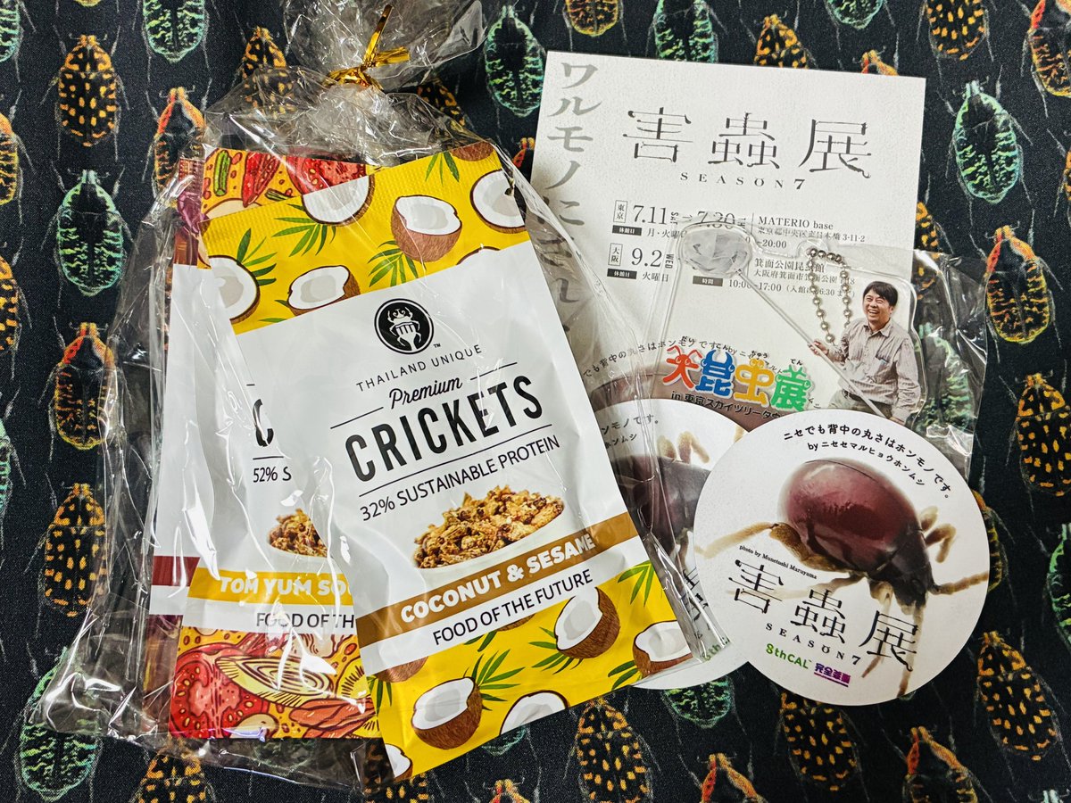 arigato_39's tweet photo. 今日は「害蟲展」と「大昆虫展」をはしご。

害蟲展のメインビジュアルが何とニセセマルヒョウホンムシ!!(嬉しい☺️
人によって視点が違うことの面白さがよく伝わりました。

大昆虫展はキッズ達にまみれながら一人で拝見👀標本が素晴らしかった。ふれあいの森の中にいた子ども達の歓声がよき😊 https://t.co/ogMUadftHD