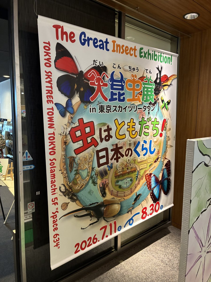 arigato_39's tweet photo. 今日は「害蟲展」と「大昆虫展」をはしご。

害蟲展のメインビジュアルが何とニセセマルヒョウホンムシ!!(嬉しい☺️
人によって視点が違うことの面白さがよく伝わりました。

大昆虫展はキッズ達にまみれながら一人で拝見👀標本が素晴らしかった。ふれあいの森の中にいた子ども達の歓声がよき😊 https://t.co/ogMUadftHD