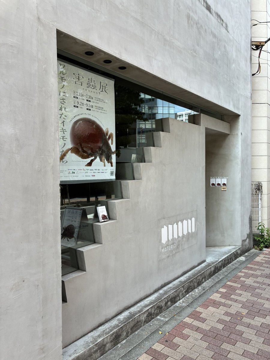 arigato_39's tweet photo. 今日は「害蟲展」と「大昆虫展」をはしご。

害蟲展のメインビジュアルが何とニセセマルヒョウホンムシ!!(嬉しい☺️
人によって視点が違うことの面白さがよく伝わりました。

大昆虫展はキッズ達にまみれながら一人で拝見👀標本が素晴らしかった。ふれあいの森の中にいた子ども達の歓声がよき😊 https://t.co/ogMUadftHD