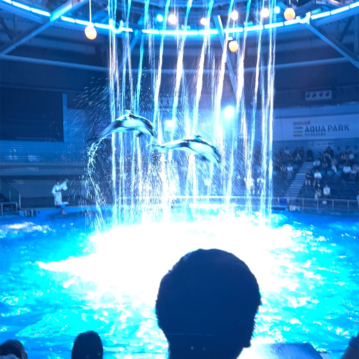 ru___ma_'s tweet photo. 妹にアテンド(諸々課金)されながら楽しんできた！
いっぱい遊んだ https://t.co/F7hYvvwuJ1