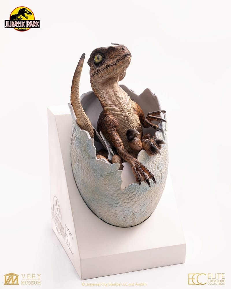 AceroyMagia's tweet photo. Antes del rugido, el crujido.

El nacimiento del velociraptor de Jurassic Park recreado en 24 cm, con ojos de cristal y huevo magnético extraíble.

Obsérvalo de cerca:
https://t.co/CYqPpqNNaQ
#aceroymagia #JurassicPark #Velociraptor https://t.co/0u9zsxCpiK