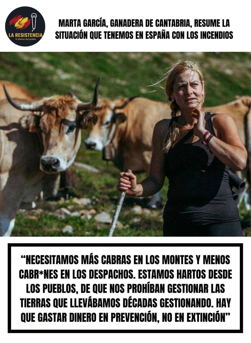 HapucOnline's tweet photo. @sanchezcastejon https://t.co/9vMnEFlq66