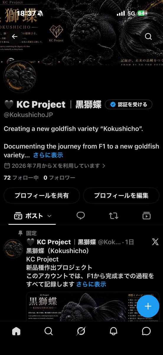 k98797512's tweet photo. ご報告です🐟

趣味で「新品種の金魚作出プロジェクト」を始めました。
数年かけてオリジナル品種「黒獅蝶（Kokushicho）」の作出に挑戦しています。

興味があれば、ぜひ覗いてみてください😊 https://t.co/XRtZp2pCUF