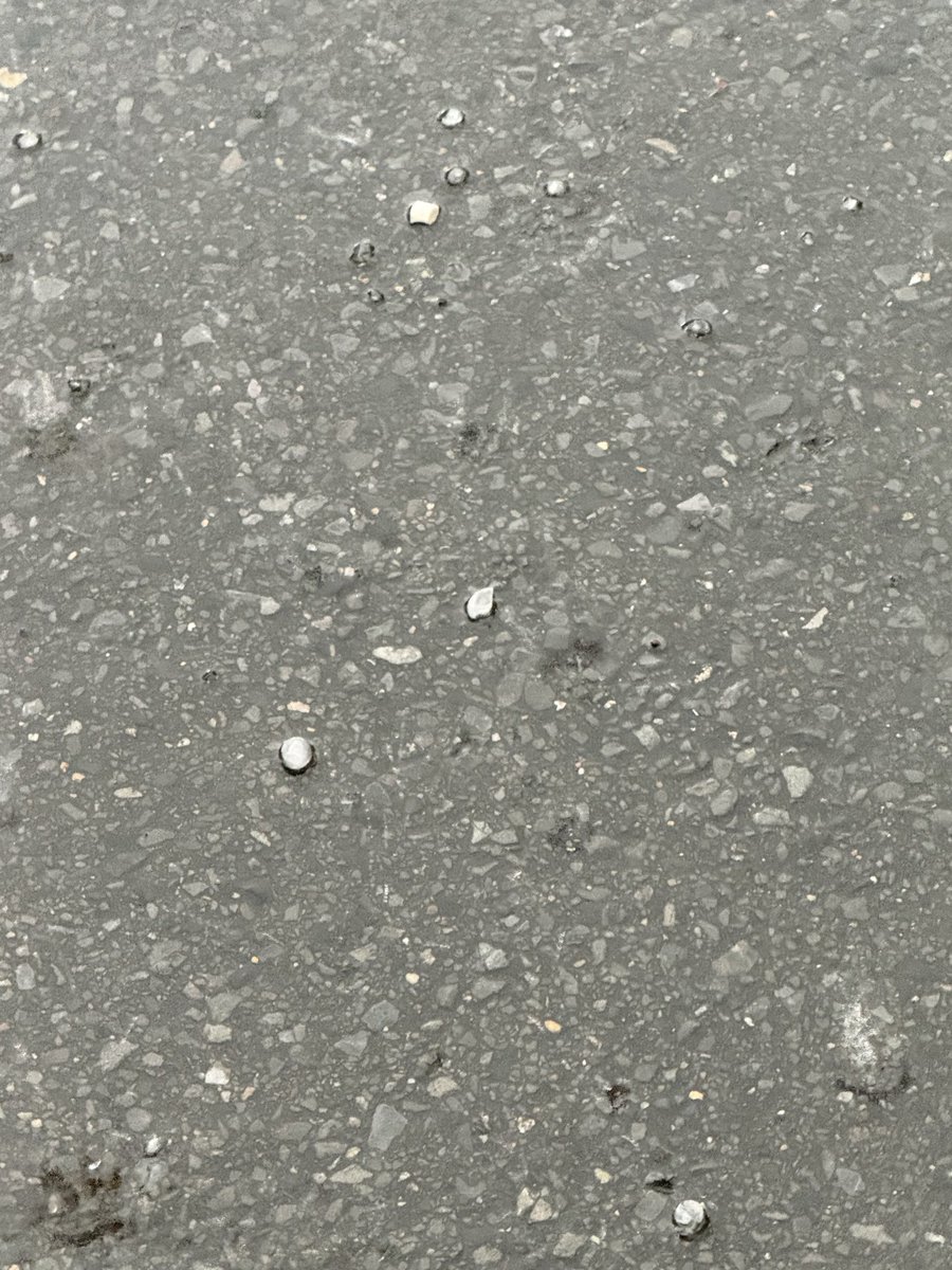 dandy_tencho_dm's tweet photo. 雹が降ってきた！ https://t.co/3kZZXIAGH1