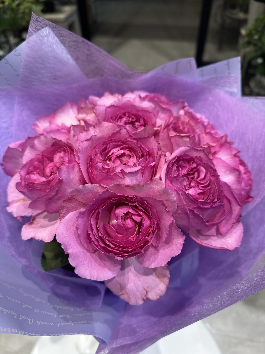 megumiko4187's tweet photo. ＃鈴木恋奈　ちゃん300回お祝いのファンの皆様からの花束。
14本のイブピアッチェ🌹💗花言葉は「誇りに思っています」
ファンの誇りですね！！🌟✨ https://t.co/TaX3ghlLMw