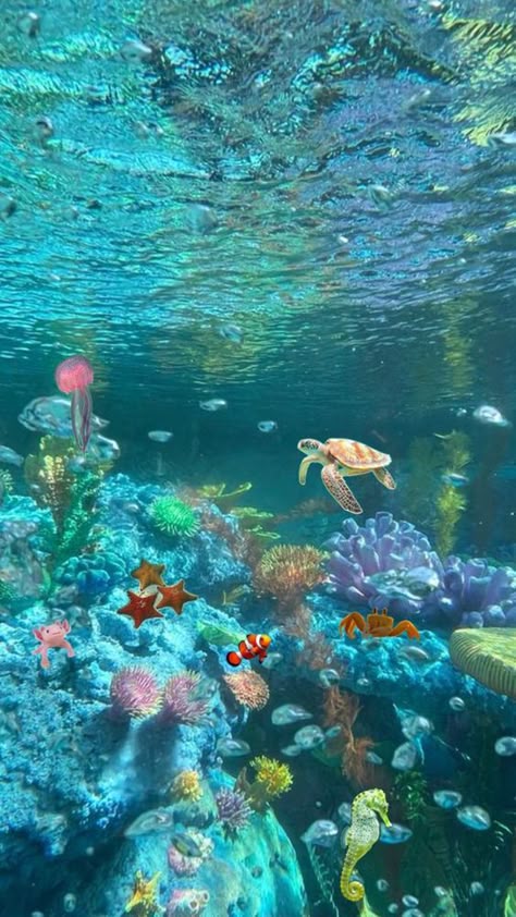 BetoSattu's tweet photo. Colorful sea life at the reef - jellies, turtles, clownfish, and coral glow in a vibrant underwater rainbow
OoB https://t.co/2ixmQbXGt0