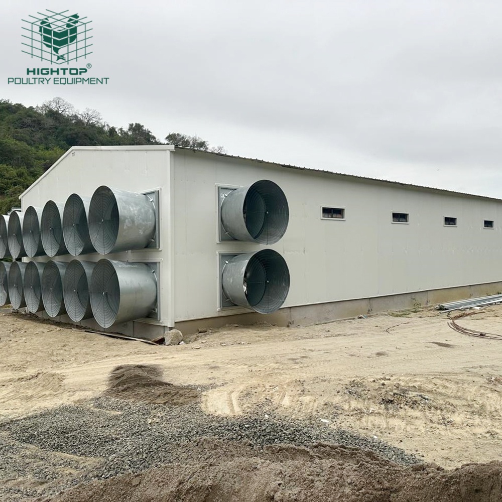 HightopPoultry's tweet photo. Turnkey poultry projects 🐔 include automatic cages, ventilation 🌬️ &amp; steel houses 🏠 for healthier flocks and efficient farm management 🌱 https://t.co/dCJ00ySVDO
