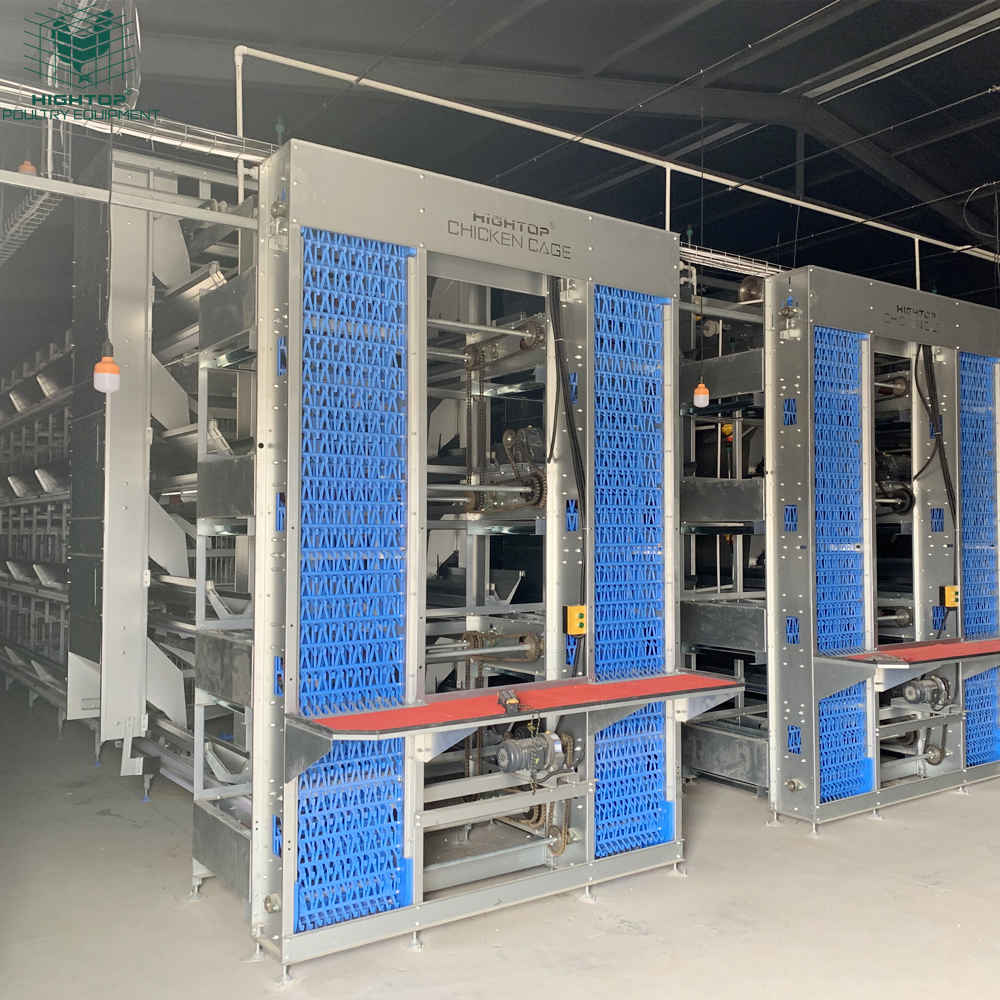 HightopPoultry's tweet photo. Turnkey poultry projects 🐔 include automatic cages, ventilation 🌬️ &amp; steel houses 🏠 for healthier flocks and efficient farm management 🌱 https://t.co/dCJ00ySVDO