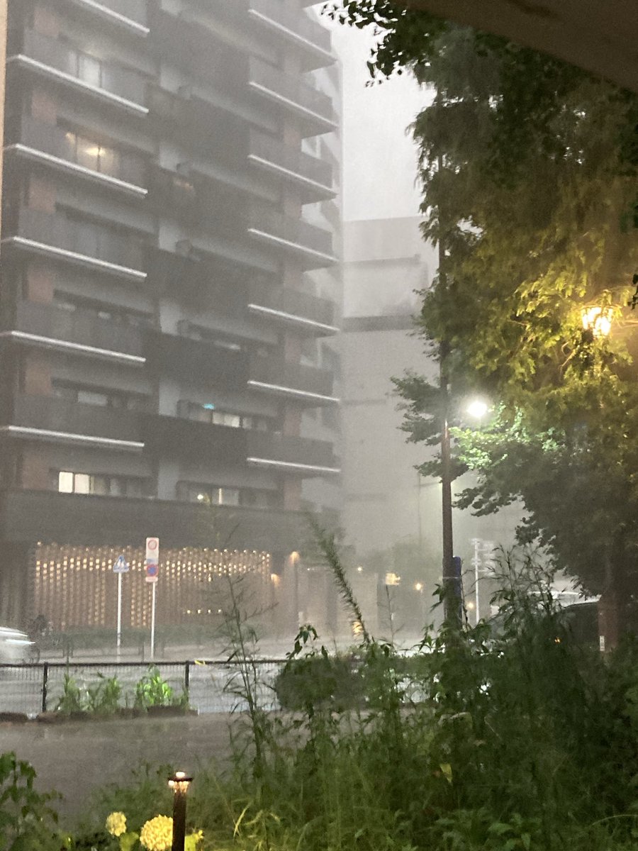 kaz04192's tweet photo. 天気調べずにランニング出たら雹混じりのサンダガ⚡️に直撃して公衆🚹に避難するハメに‥
割りかし綺麗なトイレだったのが幸い😹 https://t.co/LX1r0plePc