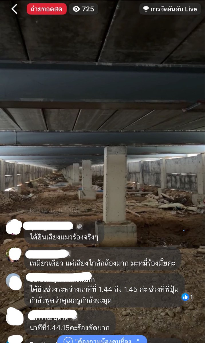 tonever22's tweet photo. ในไลฟ์ของพี่ปุ๋มตอนนี้ ทุกคนได้ยินเสียงแมวร้อง แมวที่ไหนกันนะ ลุ้นมากค่ะ 🥺

#แมวหายบนรถไฟ https://t.co/jdLdyPwCTm
