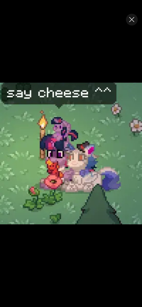 Duskshine2019's tweet photo. I met them of yesterday 😄✨ #ponytown https://t.co/fPQwLfPF3W