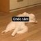 Lapekitas12's tweet photo. Chill mode activated
unZd https://t.co/US8NheAohY