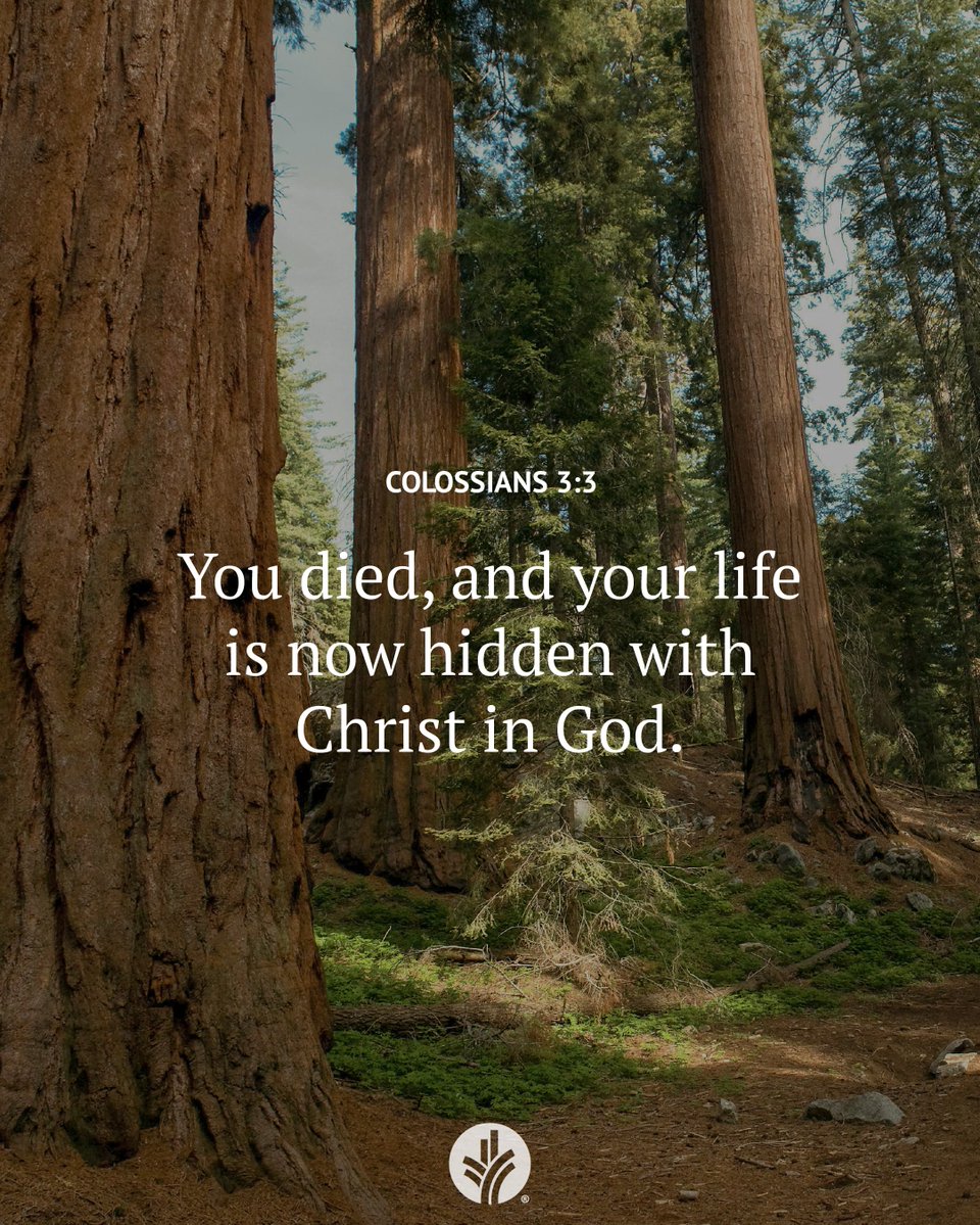 ourdailybread's tweet photo. Connect with God through today’s devotional! 
https://t.co/XR98Dr7Puk

📖 Read: Colossians 3:1-4

🙏 Receive: "Dear God, I pray You would strengthen my inner being, my life hidden in You."

❓Respond: How are you embracing God's transformational power in your life? https://t.co/WiXcePtUN3