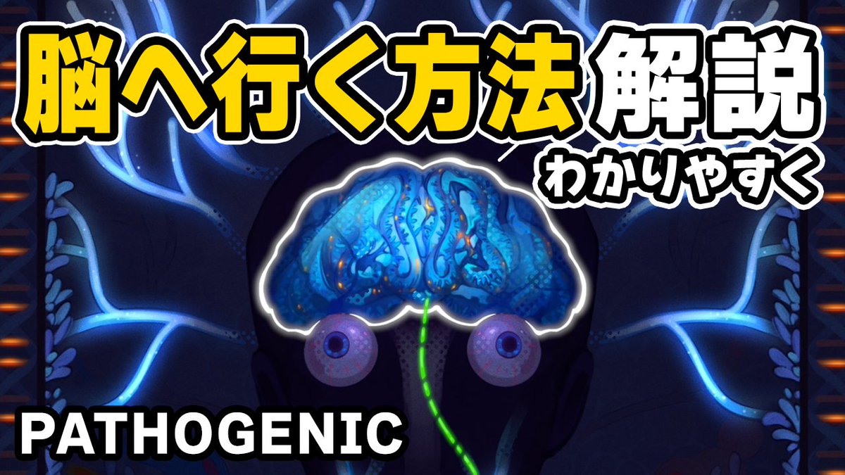 normal_meito's tweet photo. 📜新動画公開📜
【Pathogenic】隠しステージ「脳」へ行く方法、わかりやすく解説!
▼本編はこちら
https://t.co/lZCYJfcLje
#pathogenic
#パソジェニック
#インディーゲーム
#ゲーム実況
#インディーゲーほじり https://t.co/ouHxItcQKj