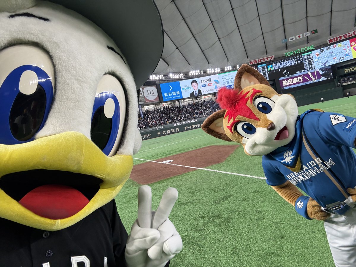 マーくん(千葉ロッテマリーンズ) tweet media