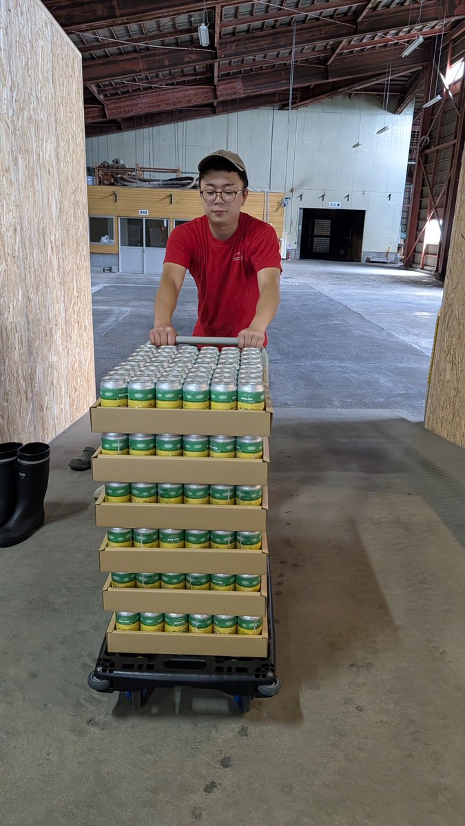 appa_aomori's tweet photo. 中泊町の中里在来種という希少なはとむぎを使ったクラフトビール。
ただただ、この伝統食材を一人でも多くの人に知っていただき、残り続けてほしい一心でした。

町内では産直市場ピュア、くつろぎダイニング哲。で取り扱っています！

多くの方に届きますように… https://t.co/pqhGOJMHnH