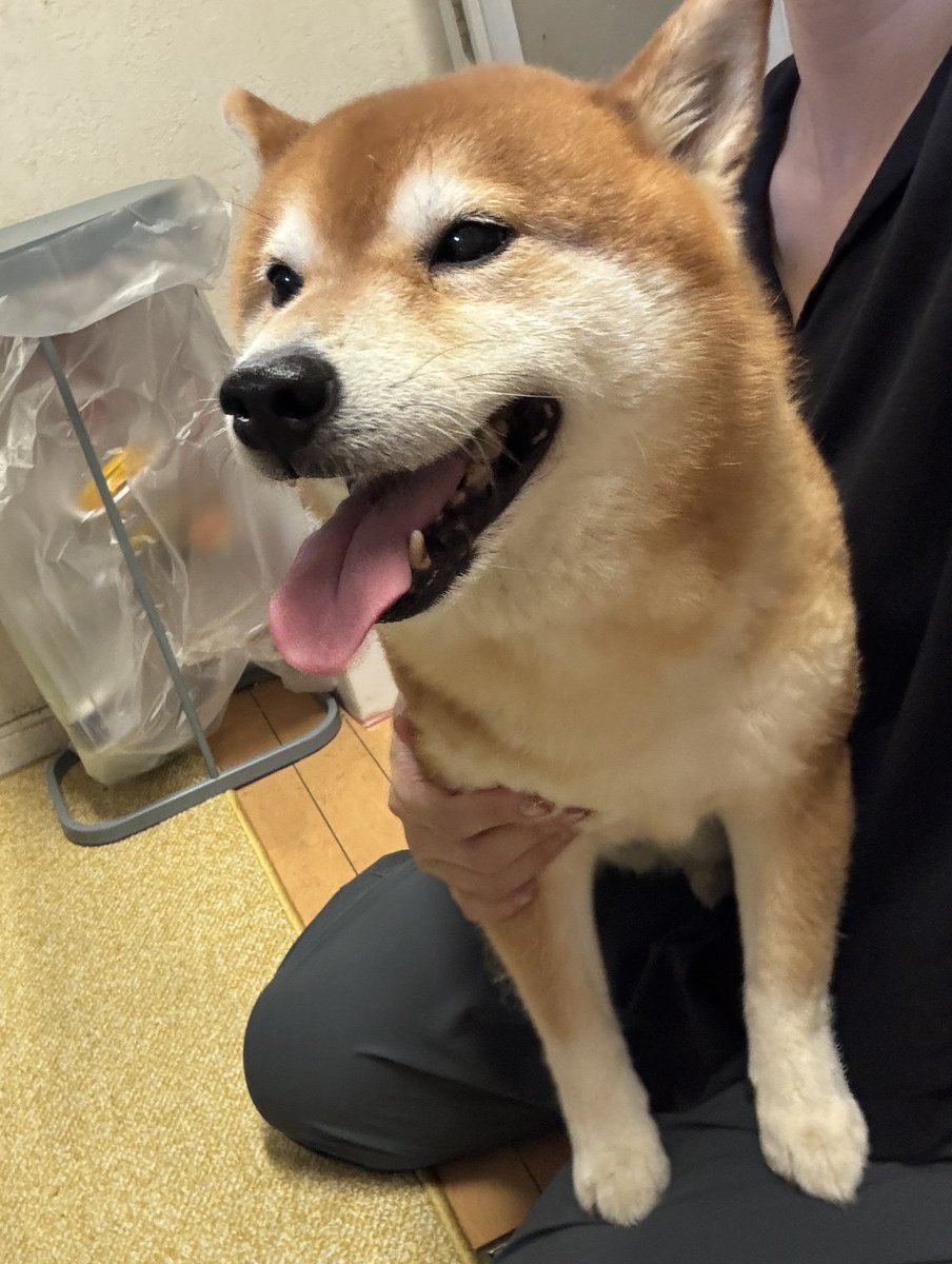 kotaro_chang's tweet photo. 雷からの避難完了 https://t.co/TX10omwetM