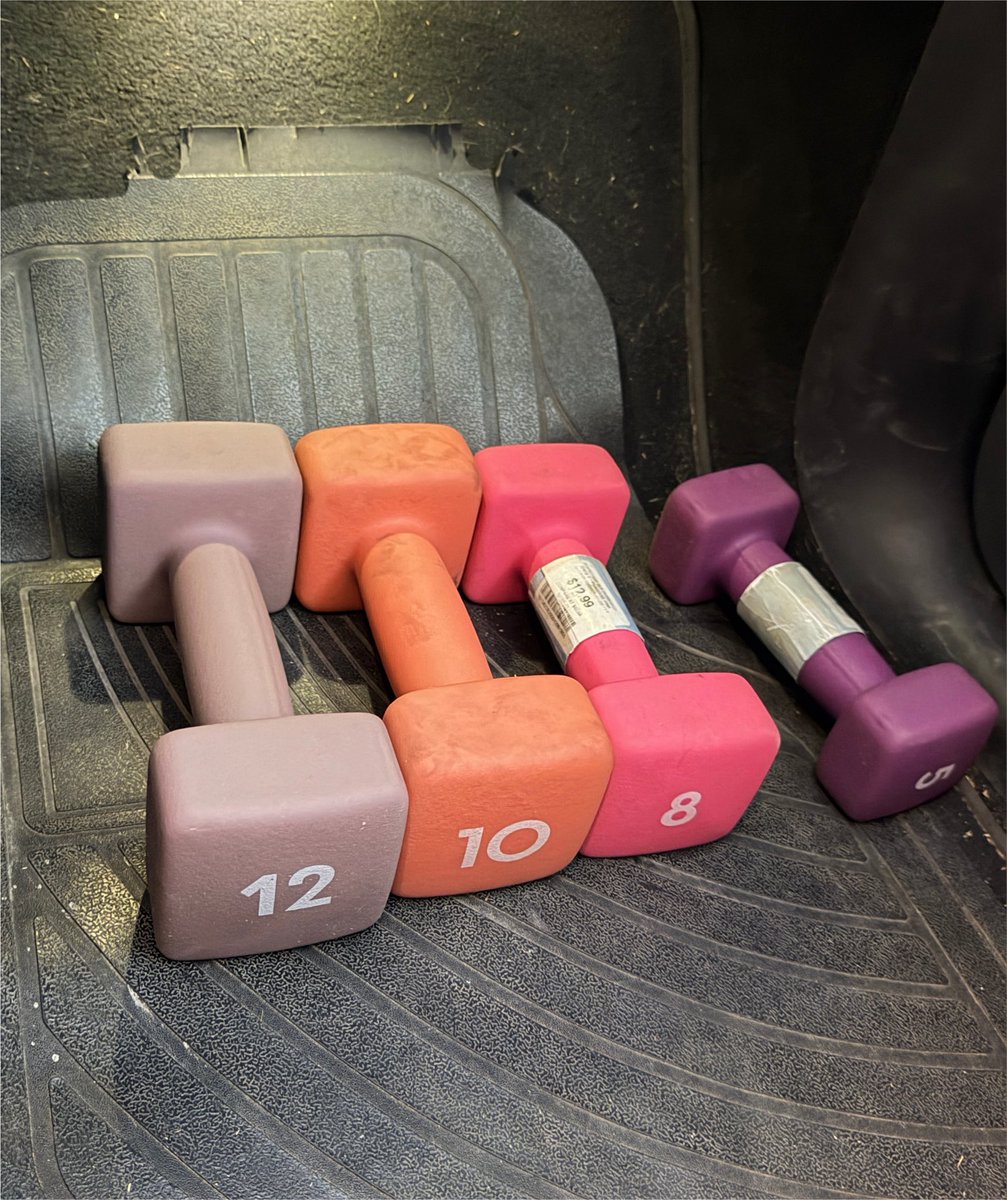 ModelYManiac's tweet photo. Stopped by Sierra store to serendipitously snag a 12 lb square dumbbell (the only DB in store) whose existence I had written off🙂Only square DBs qualify for #gymMode (to preclude rolling migration). Even these will slide back to the 2nd row on not even full pedal (Classic MYP 3.5s 0-60)