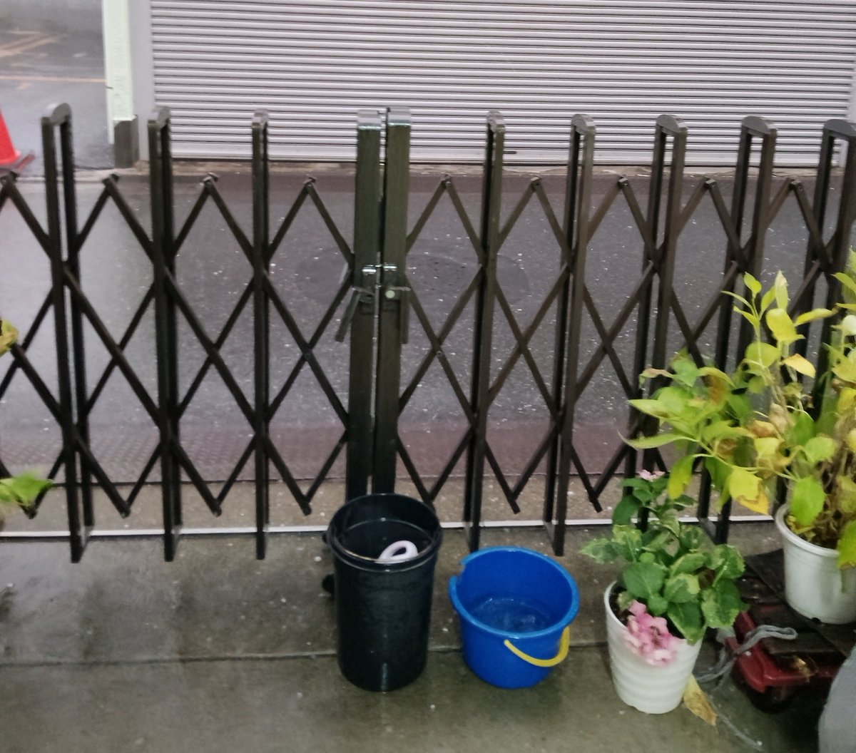 fushimi0119's tweet photo. 帰宅直後に突風と雹でした。
一瞬、目の前が雨で真っ白になりました。怖かった。 https://t.co/4VyPtlFJwR