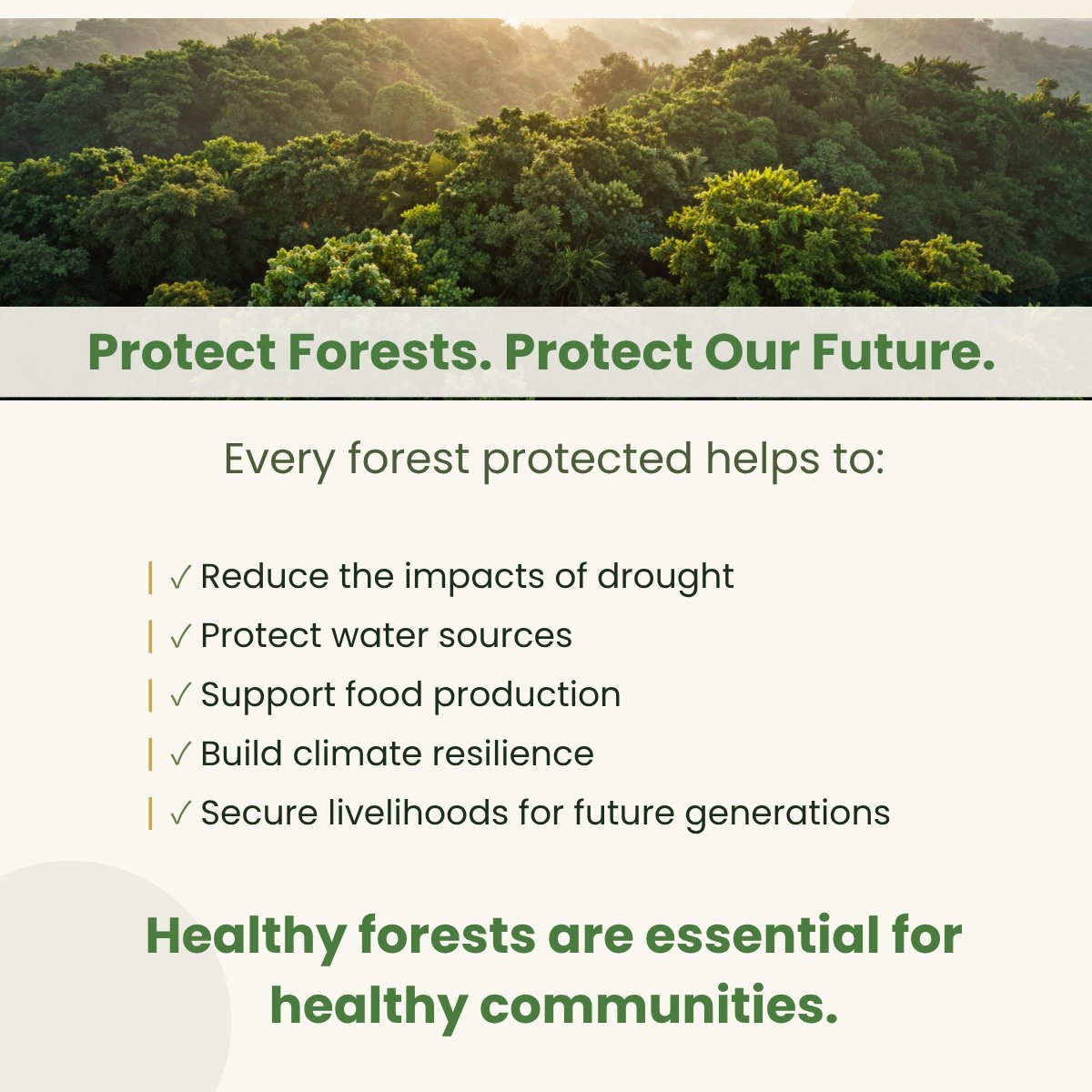 GreenBeltMovmnt's tweet photo. Healthy forests do more than store carbon they regulate rainfall, protect water sources and strengthen resilience to drought. 🌳

When forests disappear, droughts worsen, food production declines and food prices rise.

Protect forests. Protect our future. 🌍

#TeamGBM https://t.co/IgIOXUIsxu