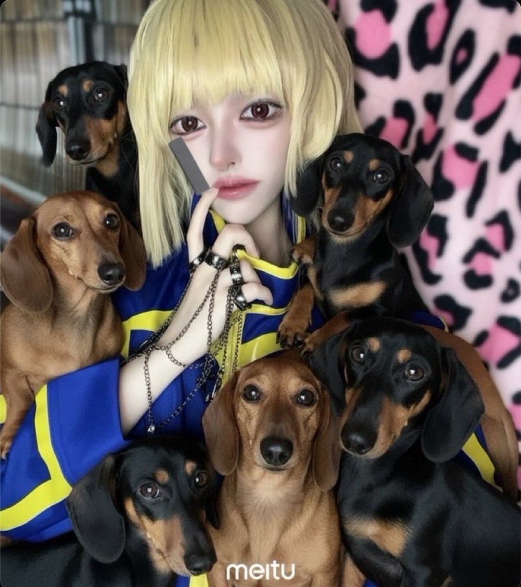 nanami_404x's tweet photo. 私の犬に囲まれてるクラピカのコスプレ見てください⛓️（無い概念）
#コスプレ #Cosplay #hxh #自撮り界隈 https://t.co/fR0JO52AOV