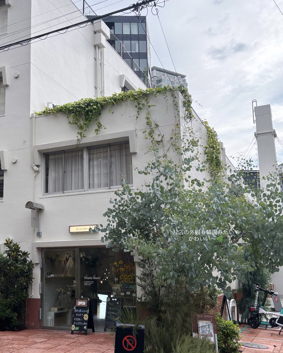 Bono6t7gr's tweet photo. お花はここ！DMで予約できて、予算とイメージを送ったらイメージ通りの素敵な花束を作ってくれて感動🥺✨お店もかわいいし、売ってるフラワーベースもセンス良すぎた絶対またお願いする🤍🎀 https://t.co/6sHnEPNRqb