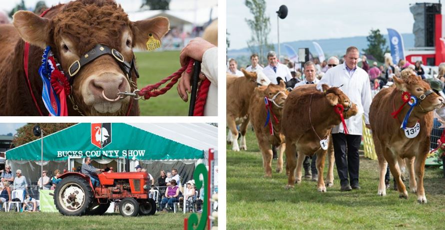 CLASouthEast's tweet photo. Chief Secretary to the Treasury @EmmaforWycombe MP is our guest speaker at the Bucks County Show on 27 August.
@CLAtweets CEO Isabella Murfin will also be attending, &amp; once again we'll be hosted by @BriggsandStone.
Spaces are filling fast! Register here:
https://t.co/xfGM2nyOC5 https://t.co/EkRgIVvM3w