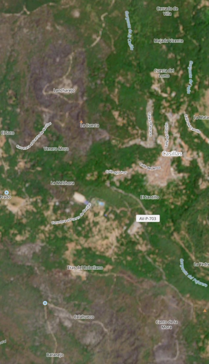 RutasAranuelas's tweet photo. Cosillas que alegran un poco la mañana:
Llegan noticias de que El castañar de la Angostura y el roble de los manaderos en Piedralaves, habrían aguantado
El pino aprisquillo de La Adrada también habría resistido
Casillas también habría salvado gran parte de Majalobos y el Pajarero https://t.co/XpqJiKKiPU