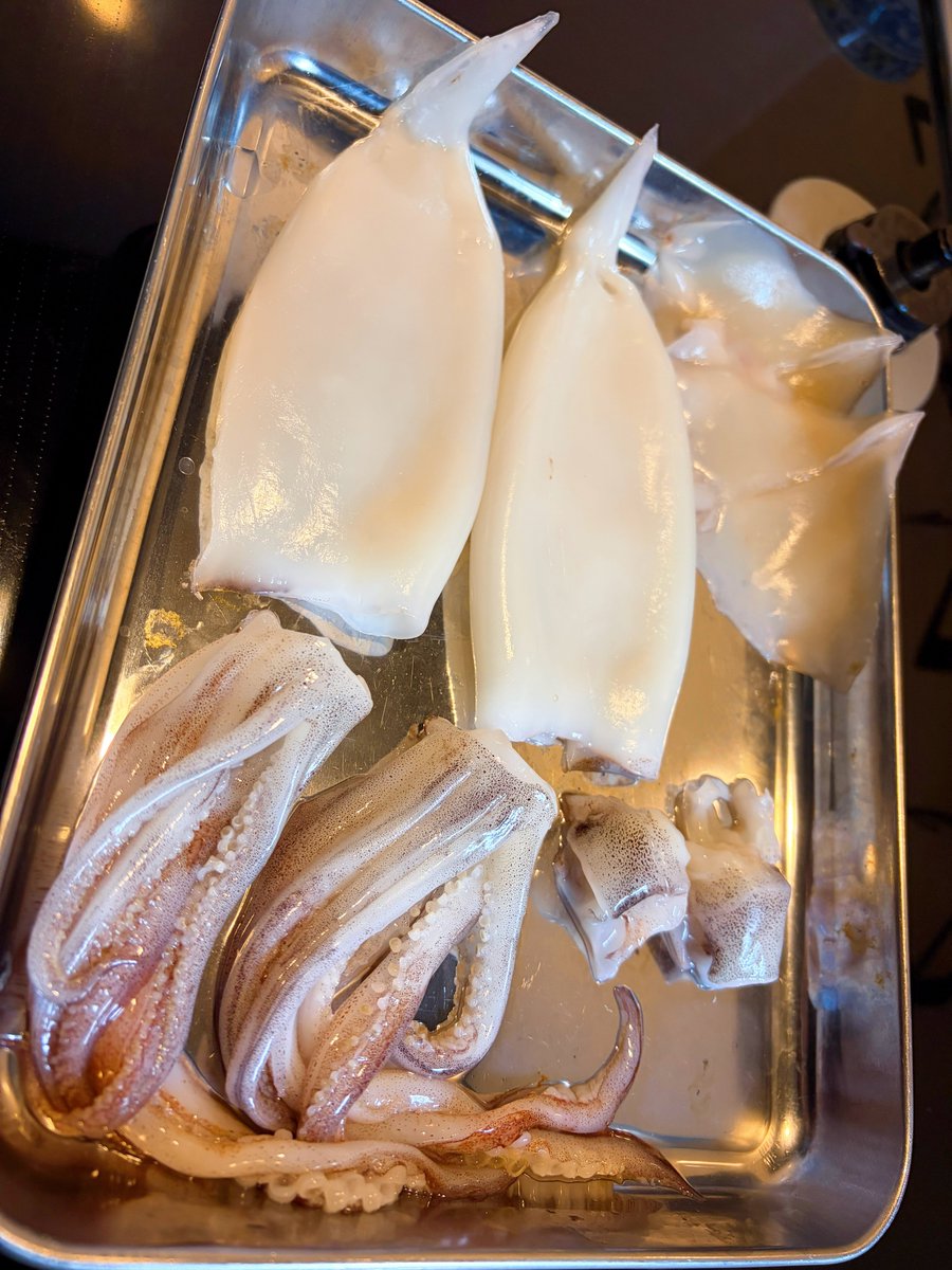 datu_ofutori's tweet photo. イカが安かったので🦑
丁寧に処理して お掃除して。
肝醤油とバターでいただきます！
う､､うますぎる！！#おうちごはん https://t.co/dDp6ypbjMo