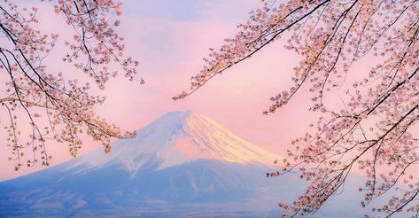 CkXo8's tweet photo. 希望141 笑顔86 🌺🎯 @grok https://t.co/wuJYiJxewJ