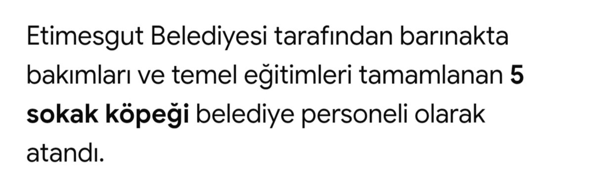 FIFA__31's tweet photo. Başıboş itler gelsin seni kurtarsın şimdi itperest p*zevenk seni 😂 https://t.co/yXWXcf6TID