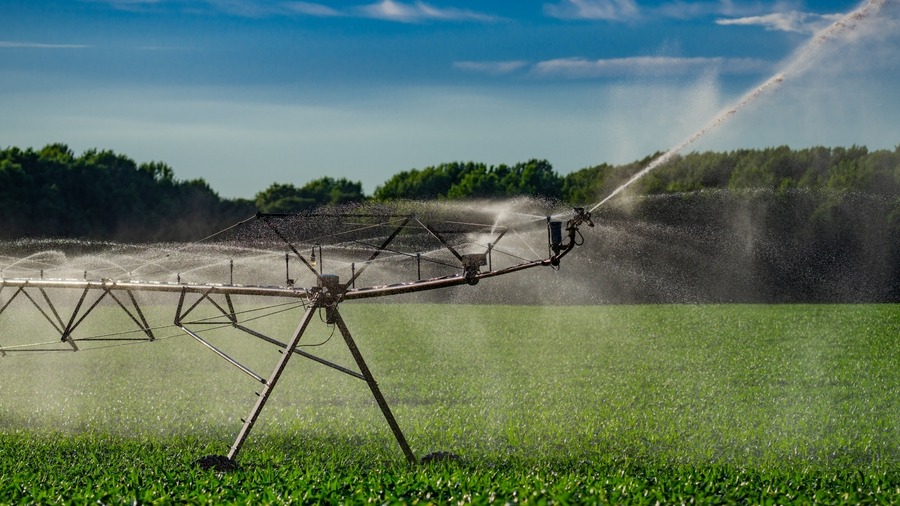ijics_journal's tweet photo. Researchers develop a deployable digital twin system for precision irrigation, combining deep reinforcement learning and crop modelling to improve water use efficiency and yield. Read more in The International Journal of Intelligent Control and Systems (IJICS).