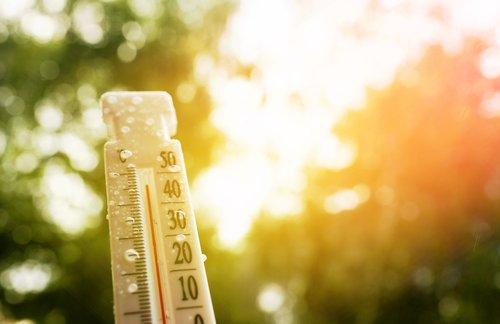 ToddJohns2's tweet photo. There are ways to conserve energy and stay cool in the summertime — even without an air conditioner. https://t.co/pyjo26vfL2 https://t.co/hLHPklFUwR