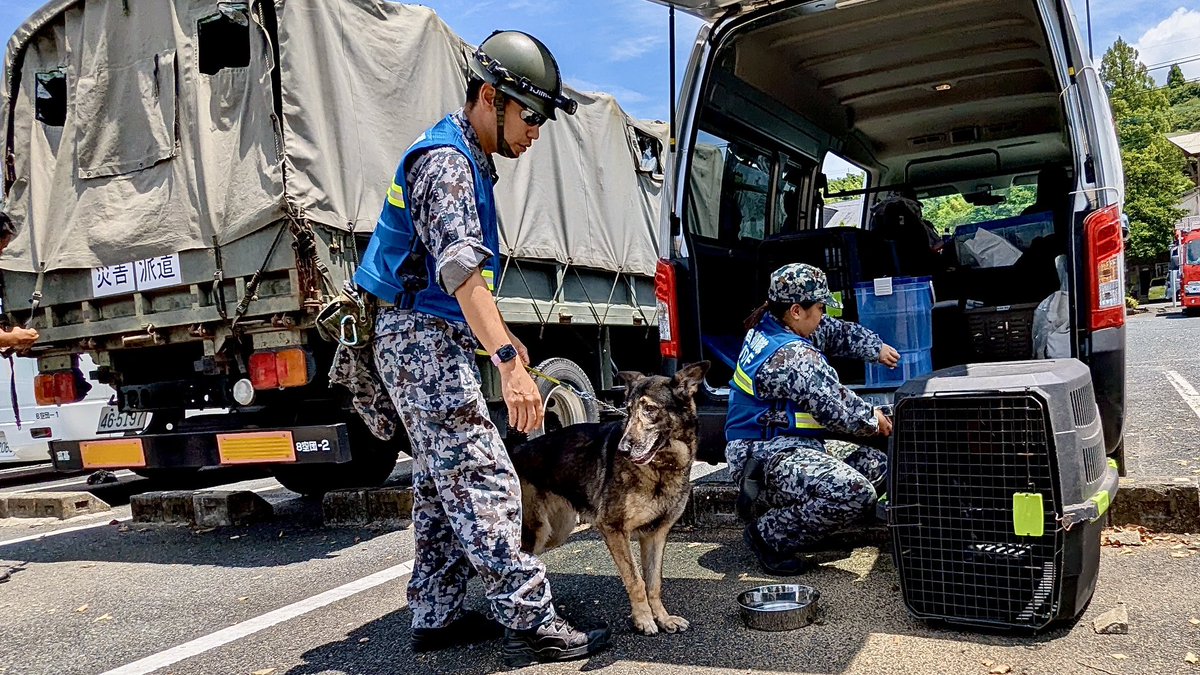 JASDF_PAO's tweet photo. 【災害派遣】
#令和８年熊本震災 に伴い、昨日新田原、築城両基地を出発した #警備犬 とハンドラーは、本日氷川町にて、人命救助につながる捜索活動を行いました。人と犬の信頼関係を力に、一人でも多くの命を救うため任務にあたっています。

#災害派遣 @jasdf_wadf_adm https://t.co/Nt7dCDO42H