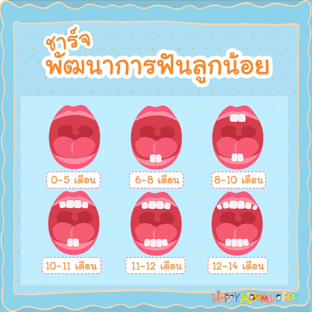 hwcotton's tweet photo. 8-10 เดือน??? https://t.co/YEaxbiWTKI