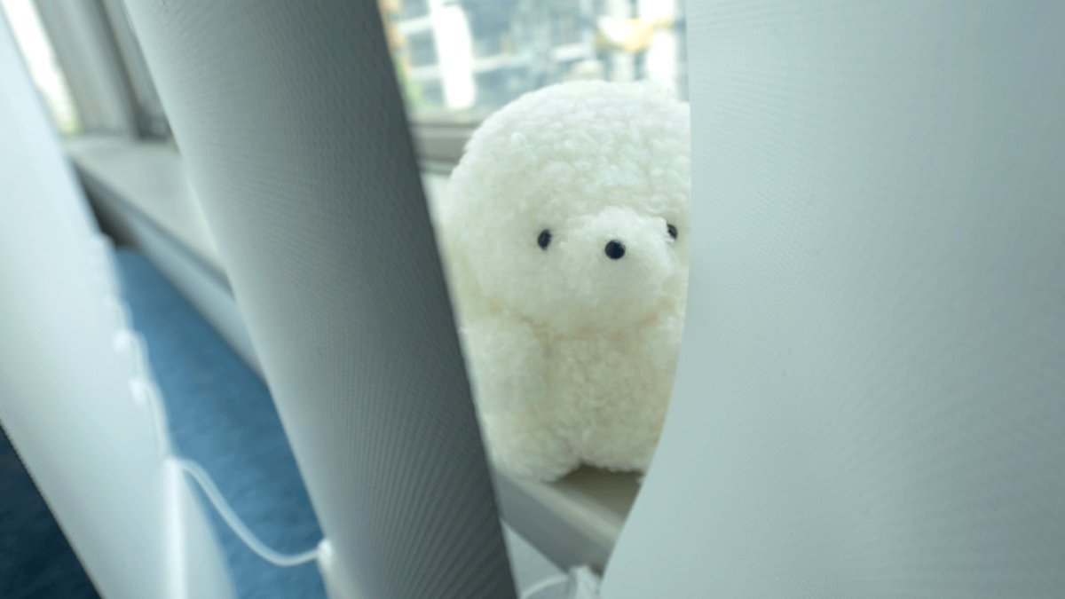 josemaru_model's tweet photo. ほしいもの　いがいと　ちかくある https://t.co/vmpN089X6b