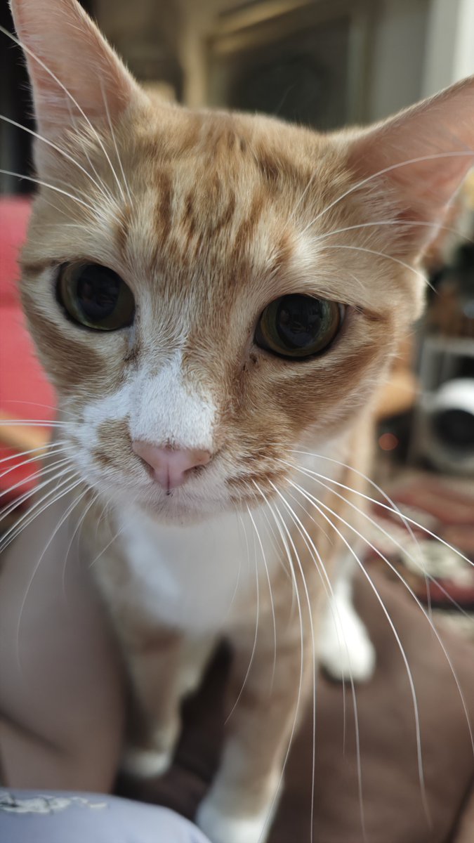 bintik_'s tweet photo. cakwe menagih janji 19juta wetfood https://t.co/Hvk1bYVEtt