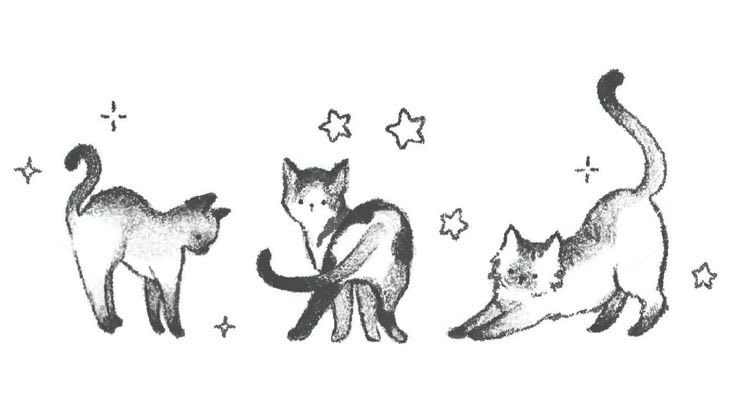 LovelyCuteDaily's tweet photo. https://t.co/M4Ke2Oapok