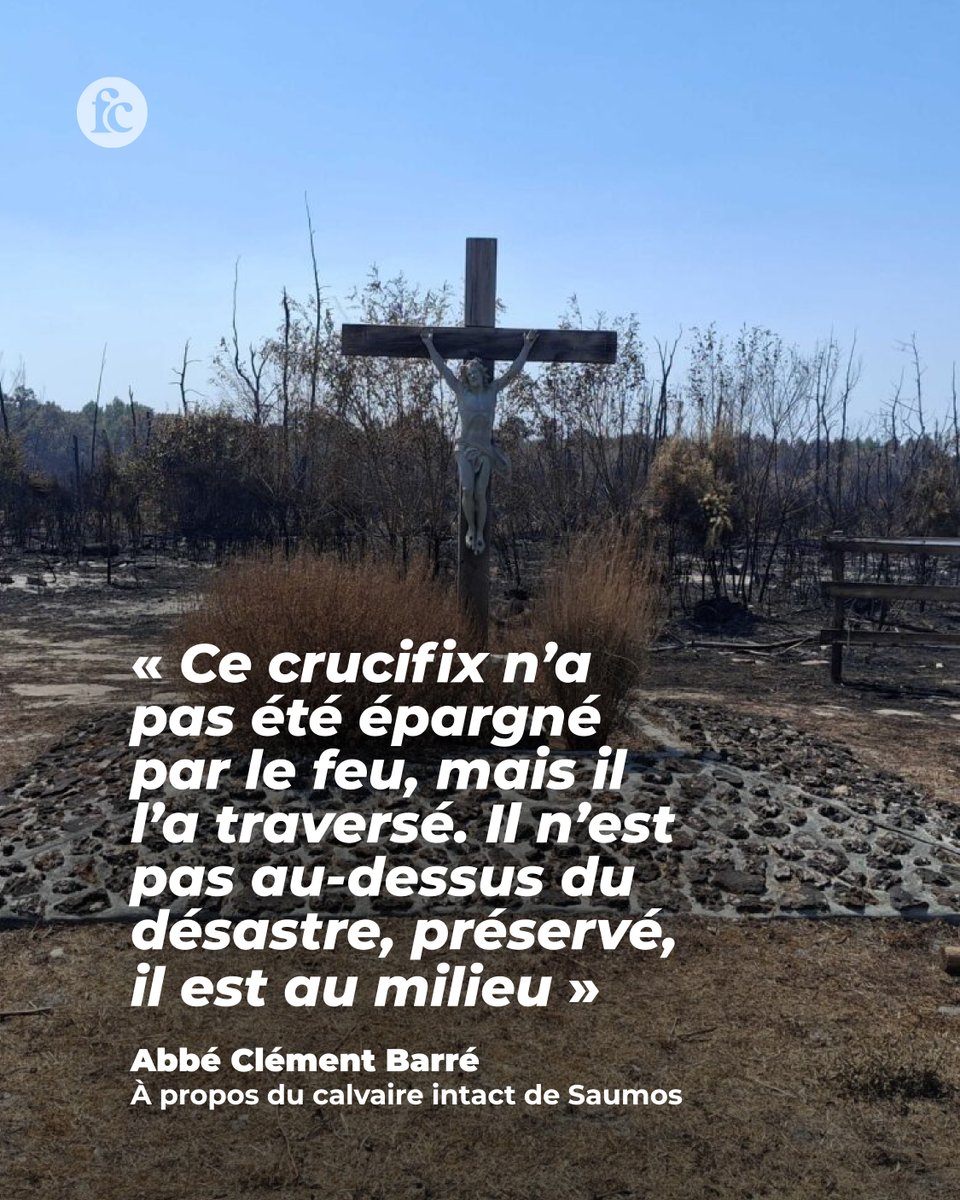 Famille Chrétienne tweet media