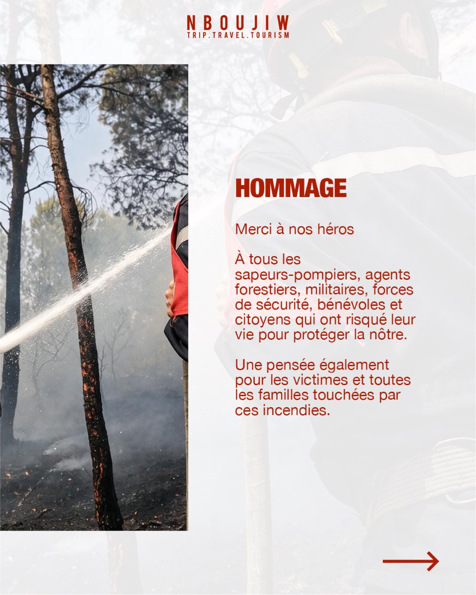 nboujiw's tweet photo. Ces derniers jours, l’Algérie a connu une série d’incendies qui ont touché plusieurs régions du pays. Face à cette épreuve, des hommes ont lutté sans relâche pour protéger des vies, nos forêts et notre patrimoine. Aujourd’hui, nous leur exprimons toute notre gratitude. Merci 🇩🇿❤️ https://t.co/06BFGNJ330