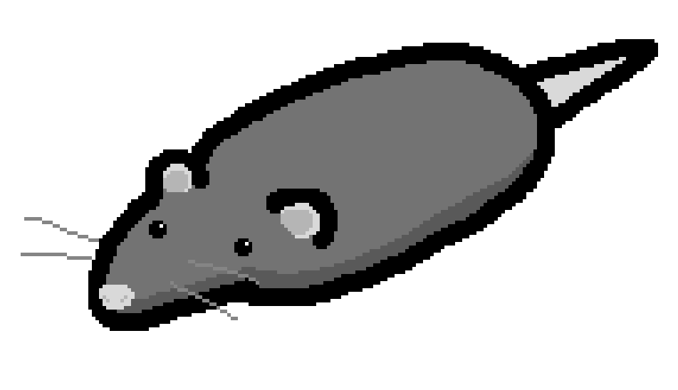 PigeonGod39's tweet photo. Daily Rats for no reason

Day 756: Monochrome Rat #rat #pixelart https://t.co/uiQoZLX0Ci