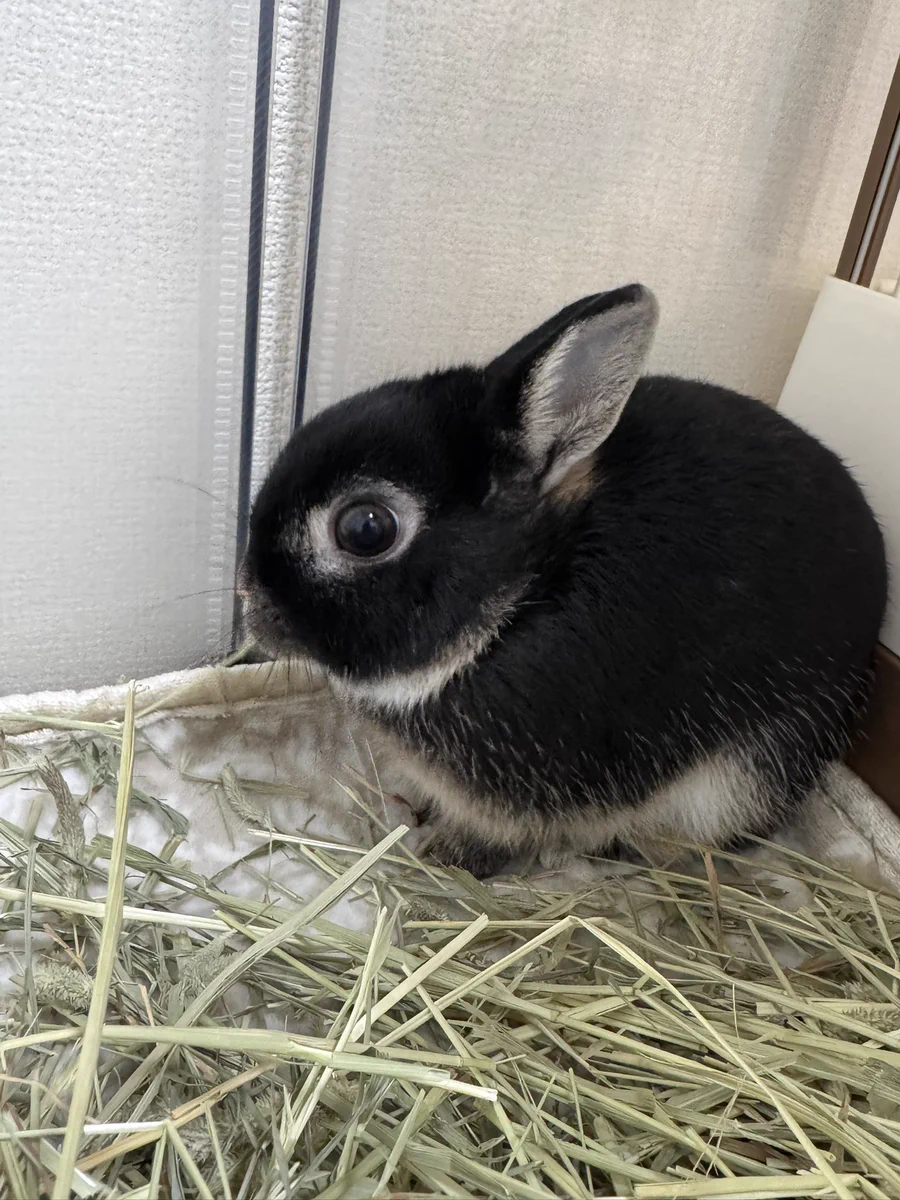 うーちゃん♡ページ