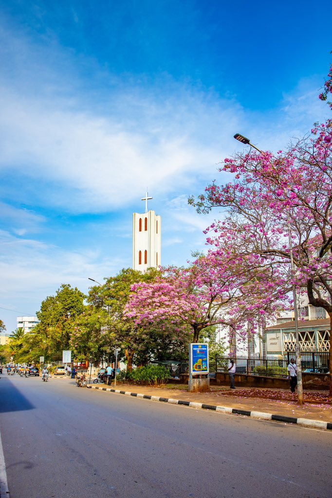 Ronah_A01's tweet photo. I love this new look of Kampala ❤️🌳
The sacrifices and hard work by @KCCAUG teams, led by @Buzeki_Sharifah, are paying off. The city is looking greener and more beautiful every day https://t.co/NWhJhFd6Wa