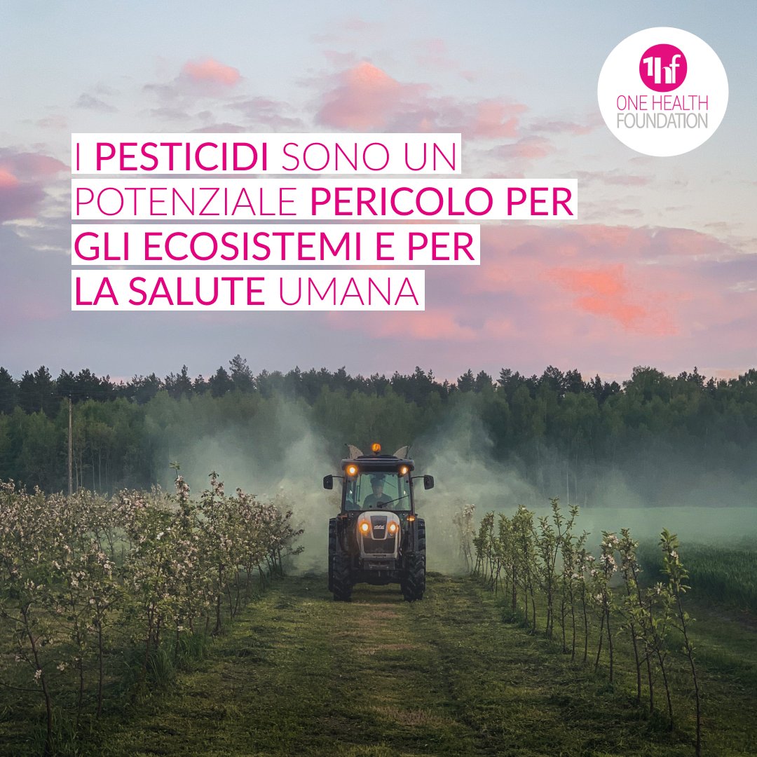 onehtfoundation's tweet photo. I #pesticidi non colpiscono solo gli organismi bersaglio, le loro sostanze tossiche hanno effetto anche sulla salute dell'uomo e degli #ecosistemi, riducendo la biodiversità. La soluzione è smettere di utilizzarli, ma ciò richiede la collaborazione di tutti gli attori coinvolti. https://t.co/u1MX3ijMLk