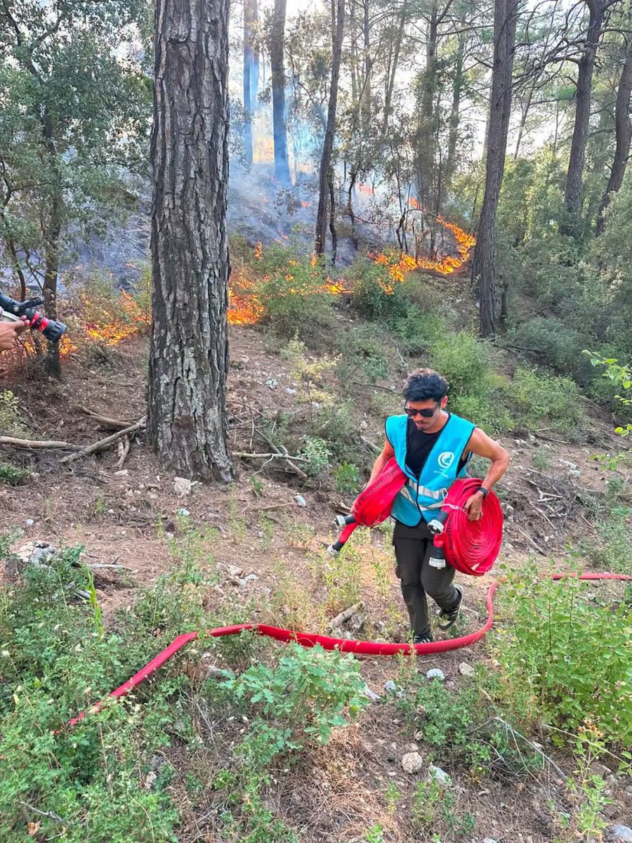 Ulku_Ocaklari's tweet photo. 📍Muğla

Ülkü Ocakları Muğla İl Başkanlığı tarafından, Muğla/Fethiye Gökçeovacık ve İnlice Mahalleleri’nde meydana gelen yangınlarda devletimizin ilgili kurumlarıyla koordinasyon sağlanarak; söndürme, soğutma ve yardım çalışmalarında bulunuldu. https://t.co/2tegr0eWYJ