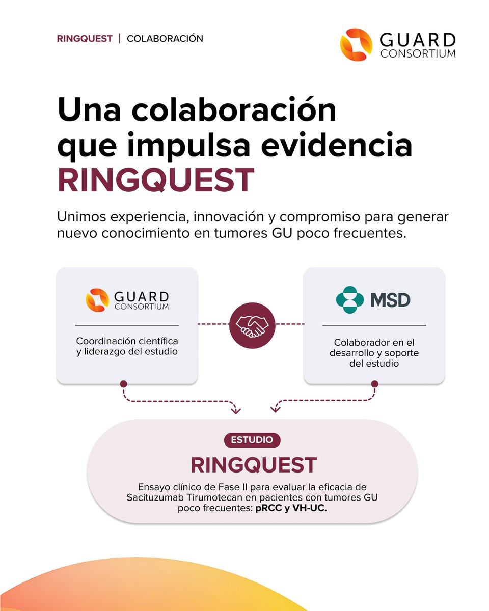GuardConsortium's tweet photo. 🇪🇸 Detrás de #RINGQUEST hay una colaboración con un propósito claro.
GUARD Consortium, con el apoyo de @msd_es, lidera este ensayo clínico de Fase II para generar nueva evidencia en tumores genitourinarios poco frecuentes con alta expresión de TROP-2.
Ciencia e industria, juntos por los pacientes.
----
🇬🇧 Behind #RINGQUEST there is a collaboration with a clear purpose.
GUARD Consortium, supported by MSD, leads this Phase II clinical trial to generate new evidence in rare genitourinary tumors with high TROP-2 expression.
Science and industry, together for patients.
#GUTumors #UrologicalOncology #ClinicalTrial @DrFelixGuerrero @cdanicas @dralvaropinto @drenriquegrande @fcounago @docjavip @BerUrologia @DrJaVallejo @Maroto5Pablo @nachoduranm @RodriguezAntona @AnaPlatabello1