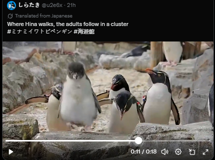 x_kwali's tweet photo. @QuantDev115 flippers https://t.co/IBdK9KdKSQ