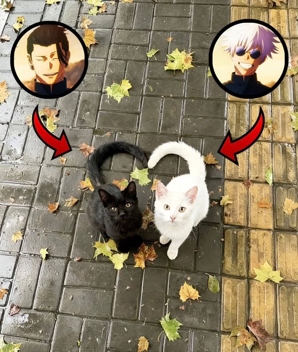 animeposts's tweet photo. IT’S THEM ❤️ https://t.co/HtLqhHFkog